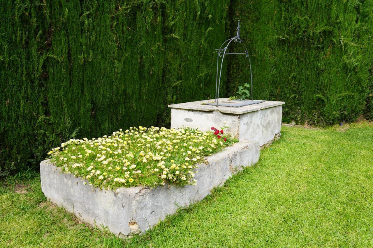 Casina Mozart Lecce Bed and Breakfast Magliano Eksteriør billede