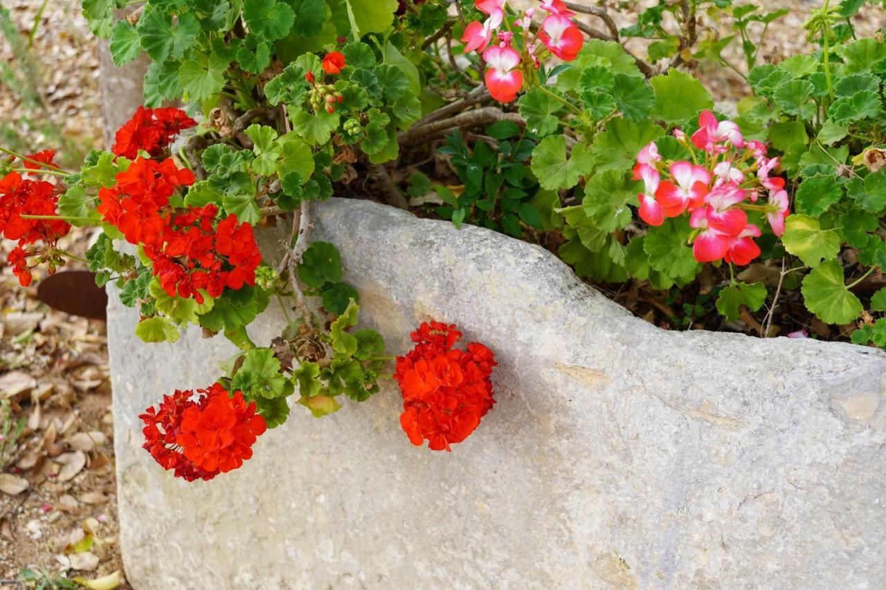 Casina Mozart Lecce Bed and Breakfast Magliano Eksteriør billede